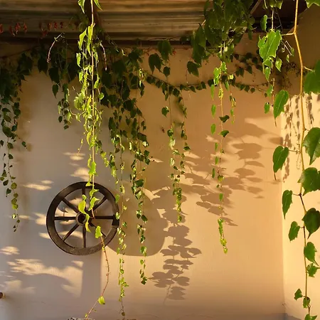 公寓 Slone 103 库多瓦-兹德鲁伊