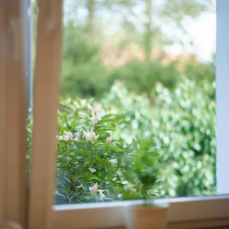 Slone 103 库多瓦-兹德鲁伊