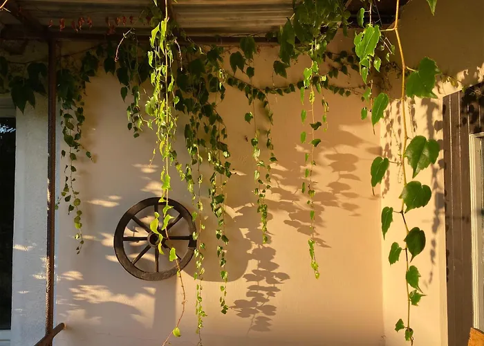 Apartamento Slone 103 Kudowa-Zdrój