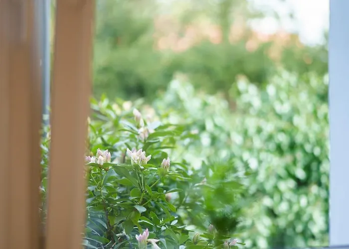 Slone 103 クドヴァ・ズドゥルイ