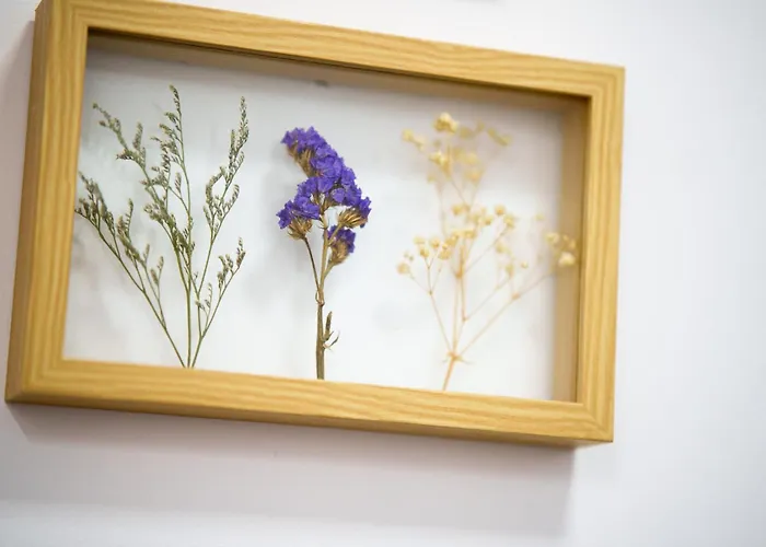 Slone 103 Kudowa-Zdrój