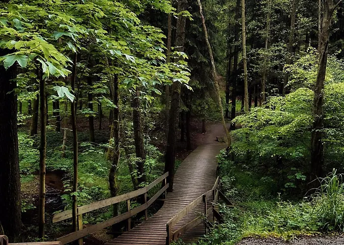 アパート Slone 103 *